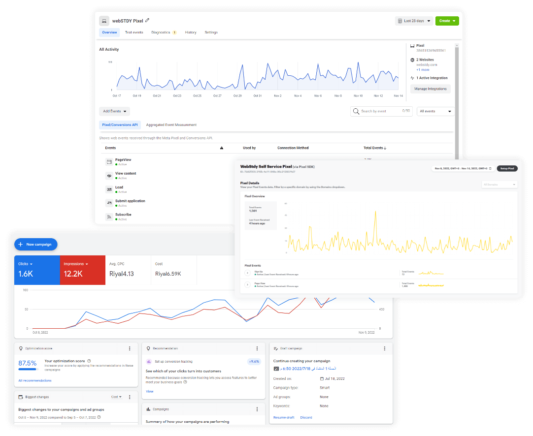 Advertising campaigns on the Google Ads platform and Snapchat ads manager